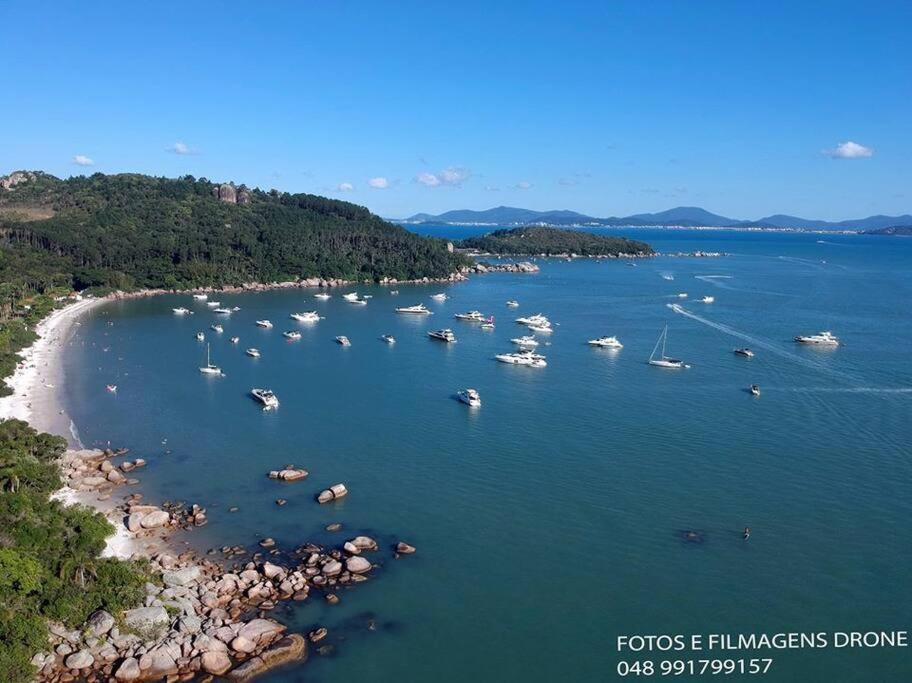 Farol Do Arvoredo Governador Celso Ramos